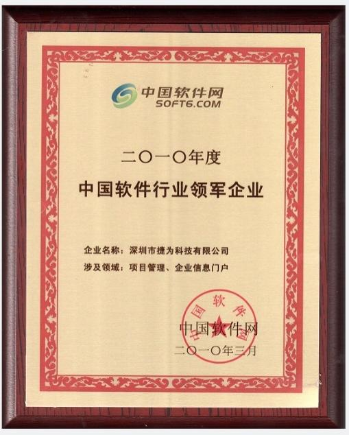 2010年度中国软件行业领军企业